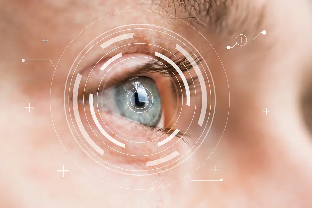 cornea